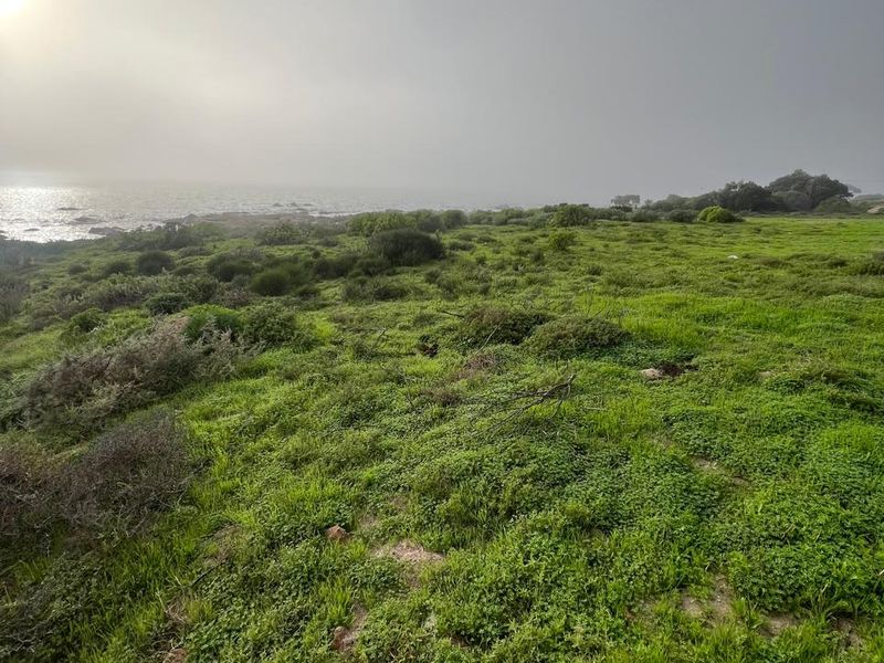 VACANT LAND FOR SALE IN ST HELENA VIEWS - Photo 6