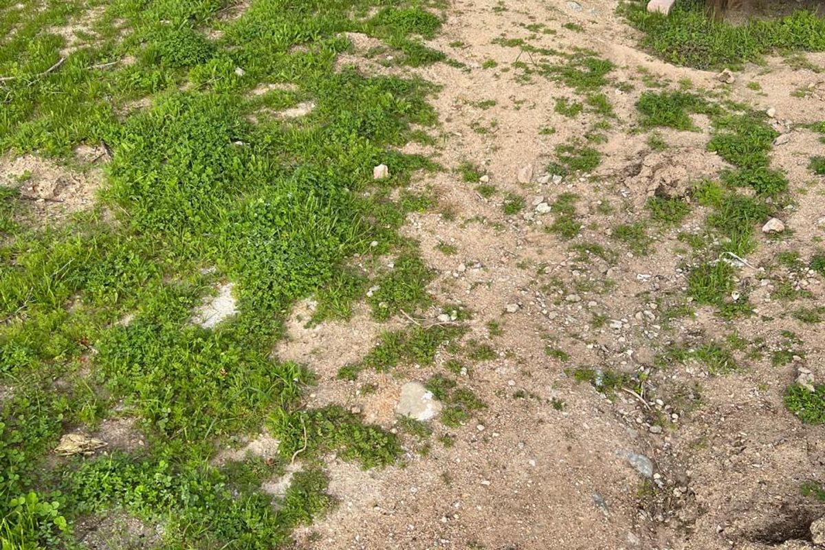 VACANT LAND FOR SALE IN ST HELENA VIEWS - Photo 3