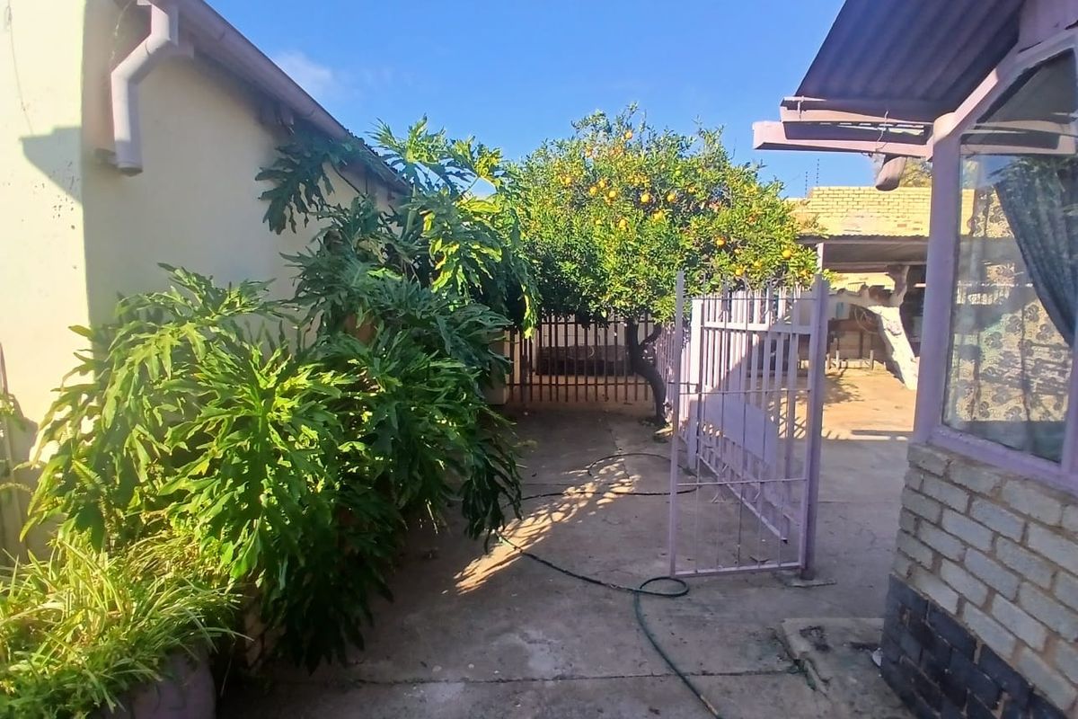 A rear exterior view showing a paved courtyard area with established fruit trees, metal security fencing, and brick building walls.
