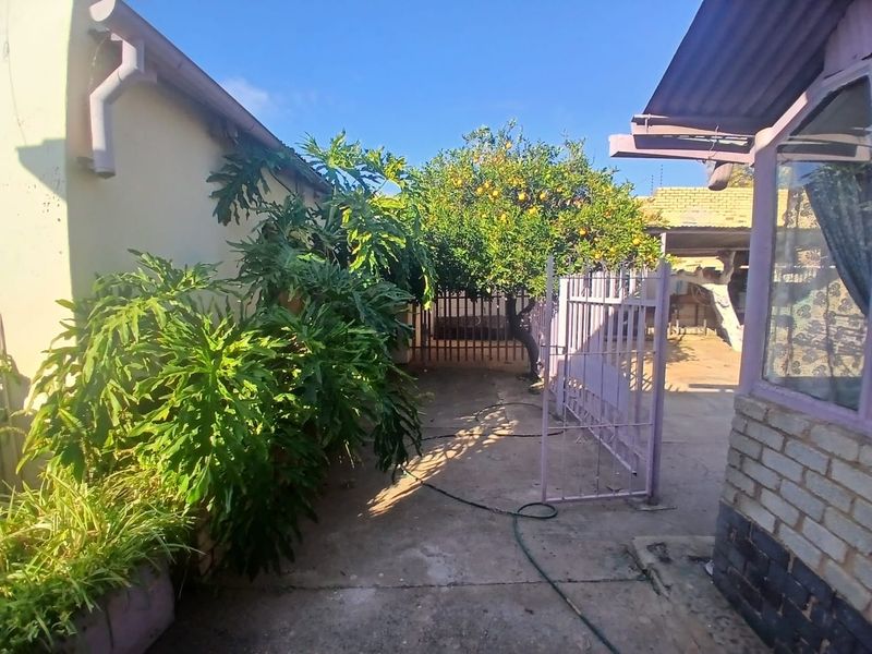 A rear exterior view showing a paved courtyard area with established fruit trees, metal security fencing, and brick building walls.