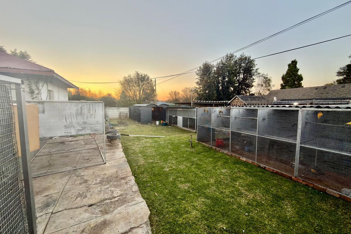 Rear garden area featuring extensive metal animal enclosures, concrete paving, and a grass lawn at sunset.