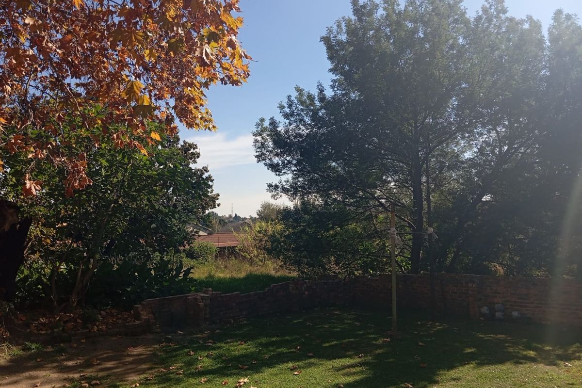 A spacious backyard area featuring a lawn, mature trees, and a low brick boundary wall.