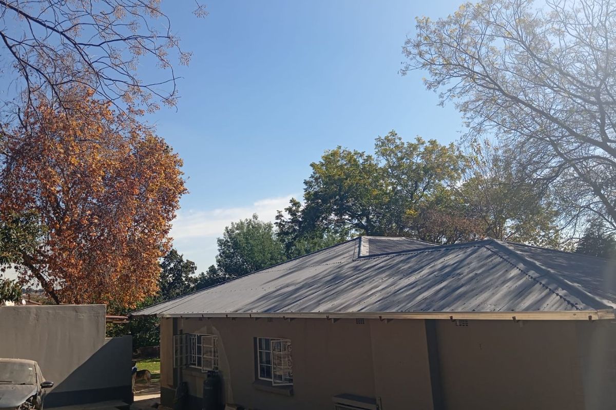 A view of the rear exterior of the house featuring a corrugated metal roof, steel window frames, and surrounding mature trees.