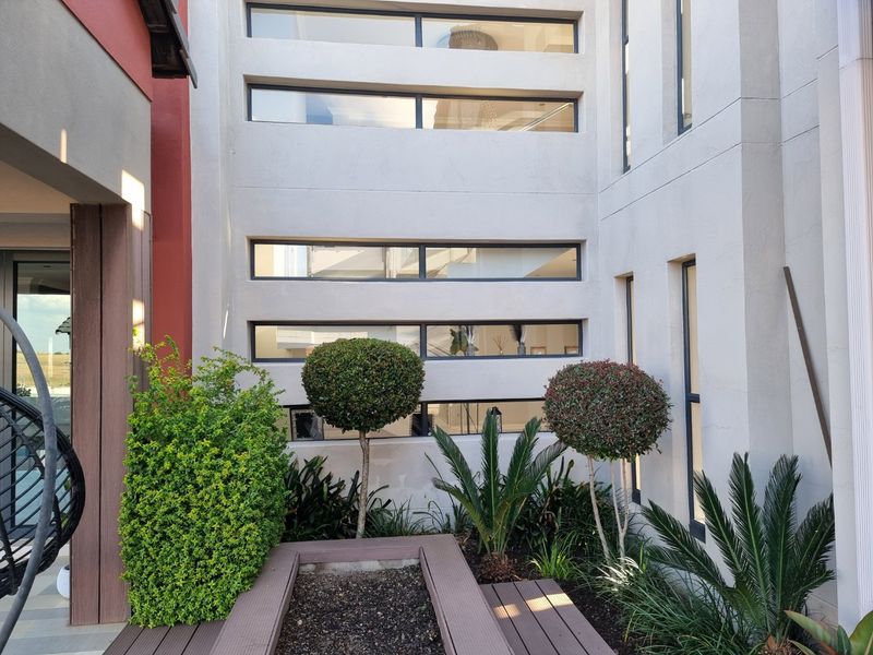 A modern rear courtyard featuring composite decking, a raised garden bed, and multiple horizontal strip windows providing natural light to the interior.