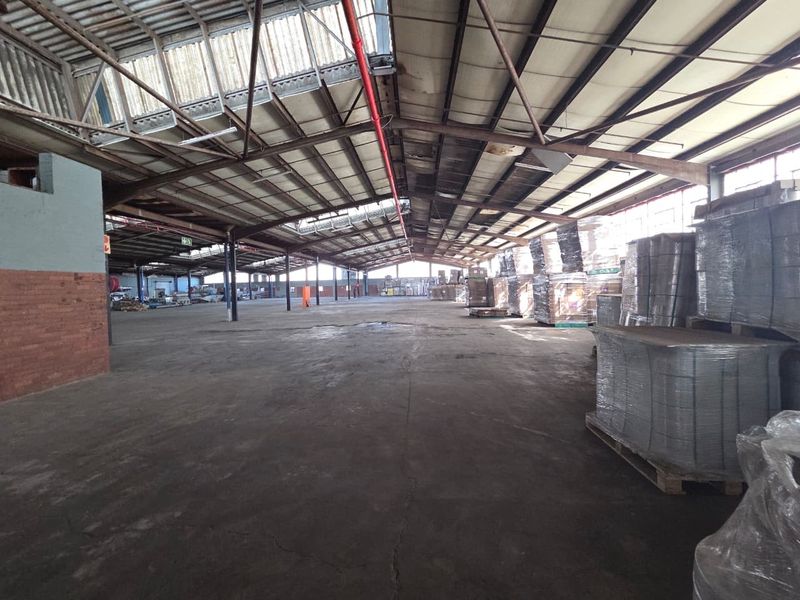 Strategic 7864m2 Industrial Property in Jacobs Industrial Precinct - Photo 7