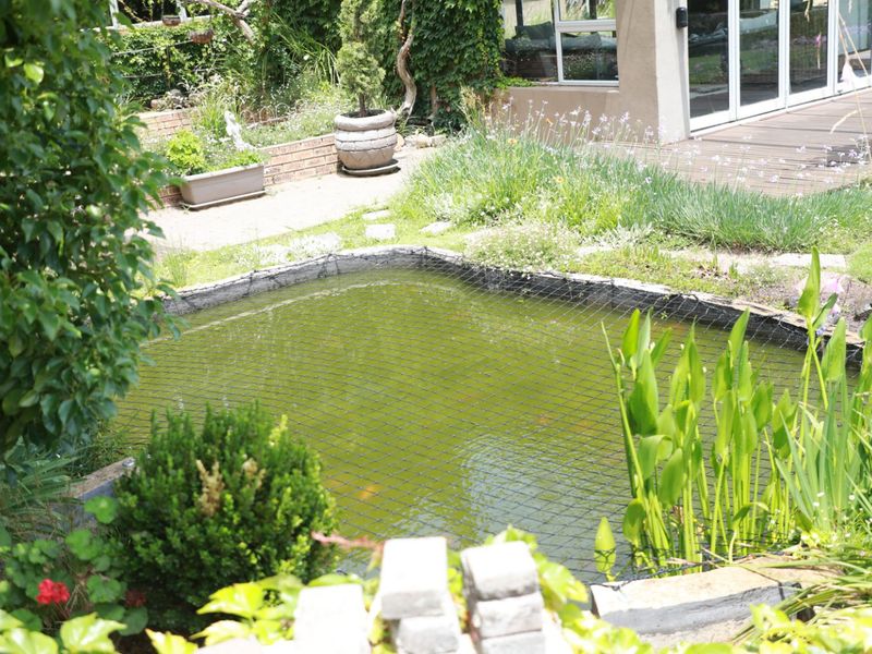 Exquisite Contemporary Family Residence with Breathtaking Natural Surroundings - Photo 4