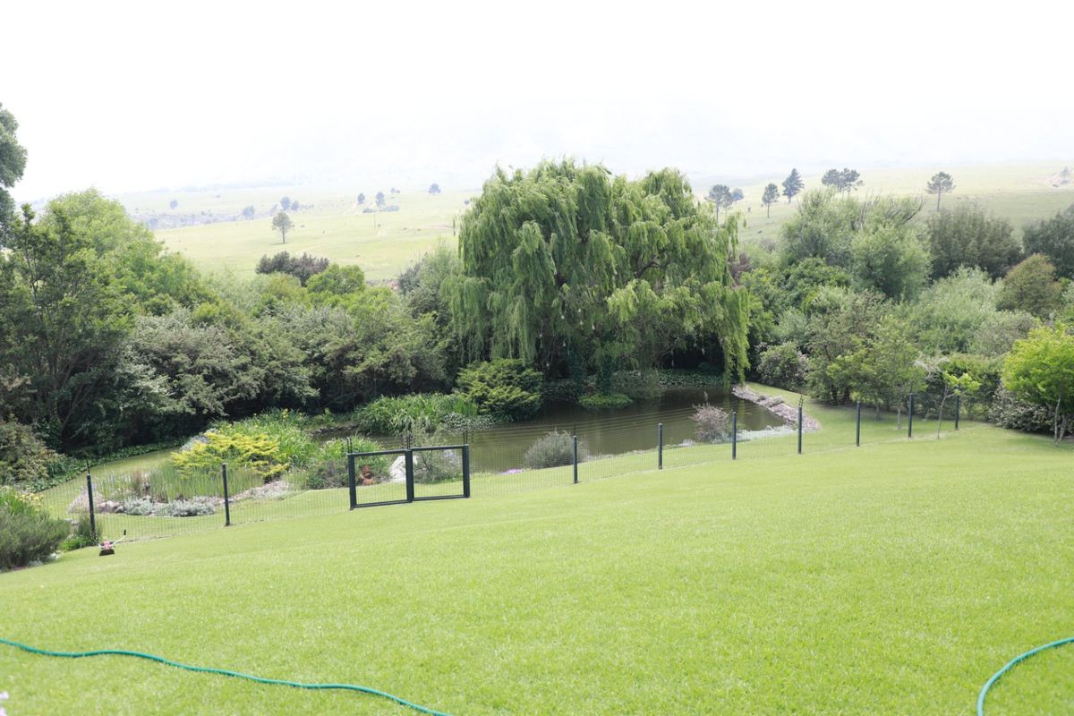 Exquisite Contemporary Family Residence with Breathtaking Natural Surroundings - Photo 3