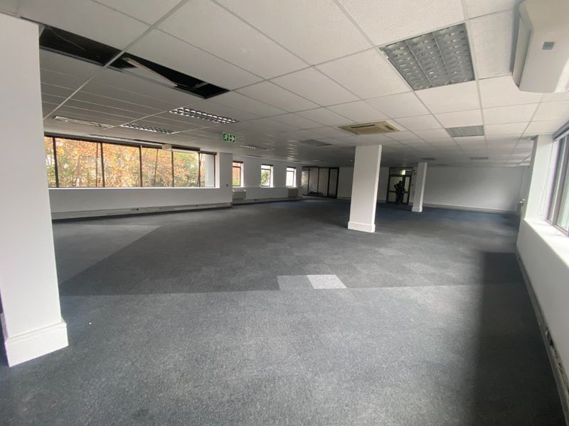 Spacious open-plan commercial office area featuring carpeted flooring, suspended ceilings with recessed lighting, and large windows providing natural light.