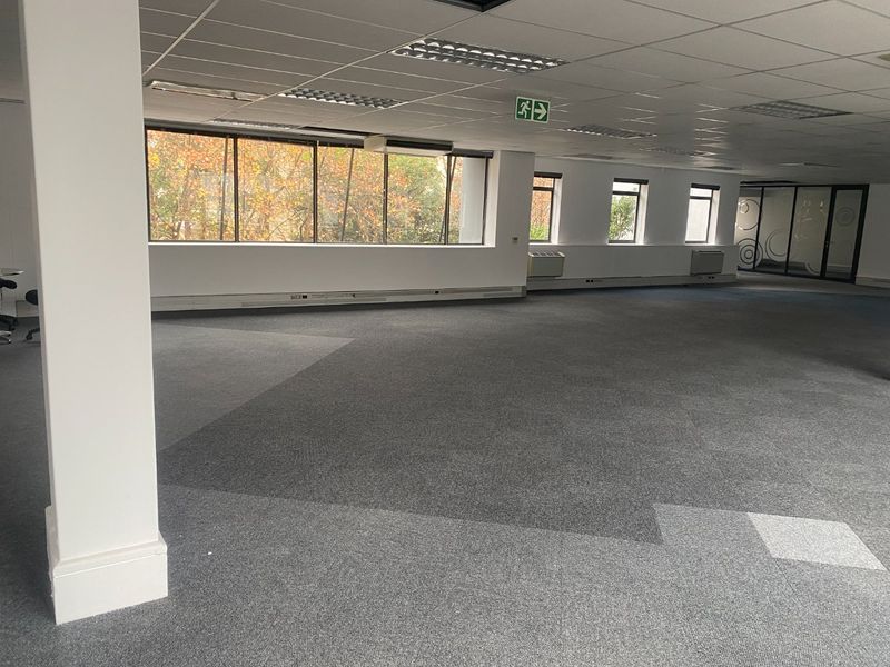 Spacious open-plan office area featuring large windows, suspended ceilings with recessed lighting, and carpeted flooring, suitable for a flexible commercial workspace layout.
