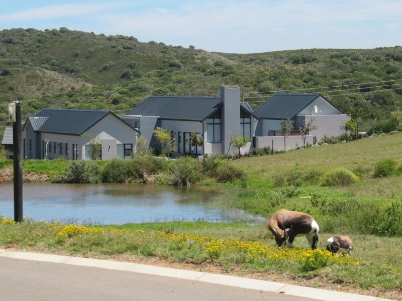 A view of a modern residential property featuring pitched metal roofs, large windows, and a chimney, set against a natural landscape with a pond.