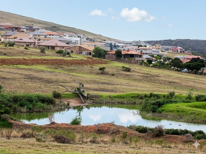 A scenic landscape view overlooking a natural pond with a residential estate nestled on the hillside in the background.