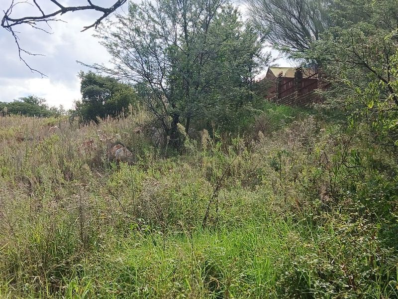 A view of a vacant residential plot featuring natural vegetation, mature trees, and perimeter fencing along the boundary.