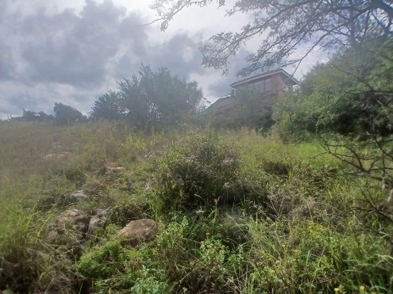 A view of a sloped, undeveloped residential plot featuring natural vegetation, rocky terrain, and mature trees.