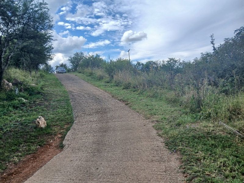 A view of the concrete driveway leading up the sloped residential land, surrounded by natural vegetation and trees.
