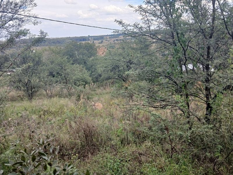 A view of the natural landscape and native vegetation on the vacant residential property.