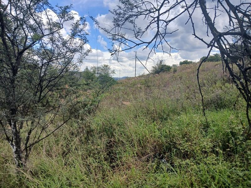 A view of a vacant residential plot featuring natural vegetation, native trees, and an existing utility pole on the property.