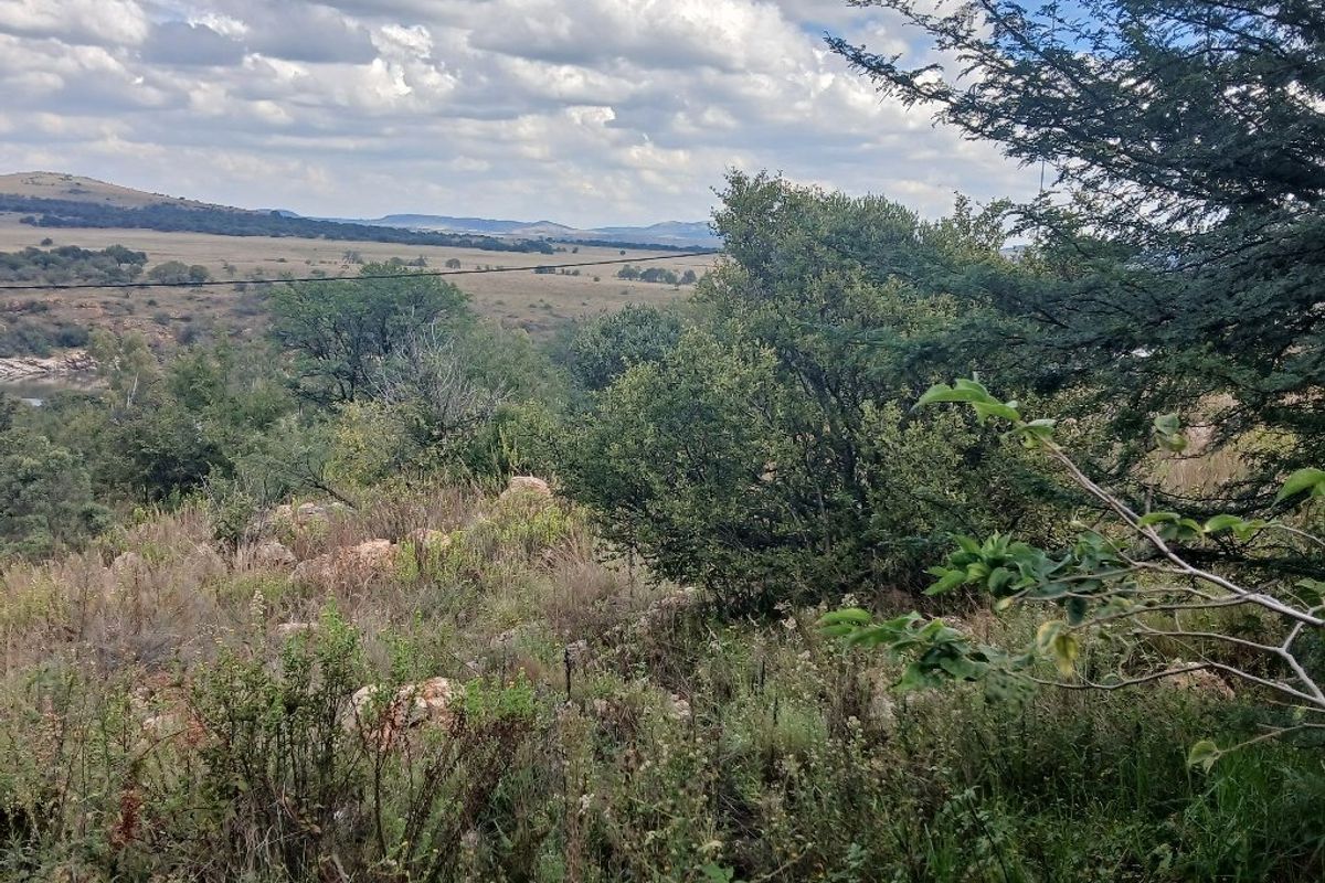 A scenic view of the natural landscape and indigenous vegetation surrounding the vacant residential property.