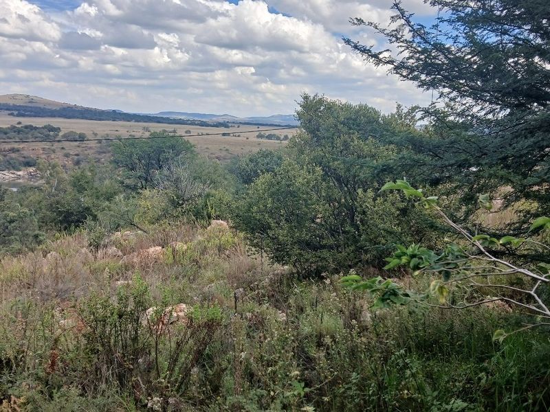 A scenic view of the natural landscape and indigenous vegetation surrounding the vacant residential property.