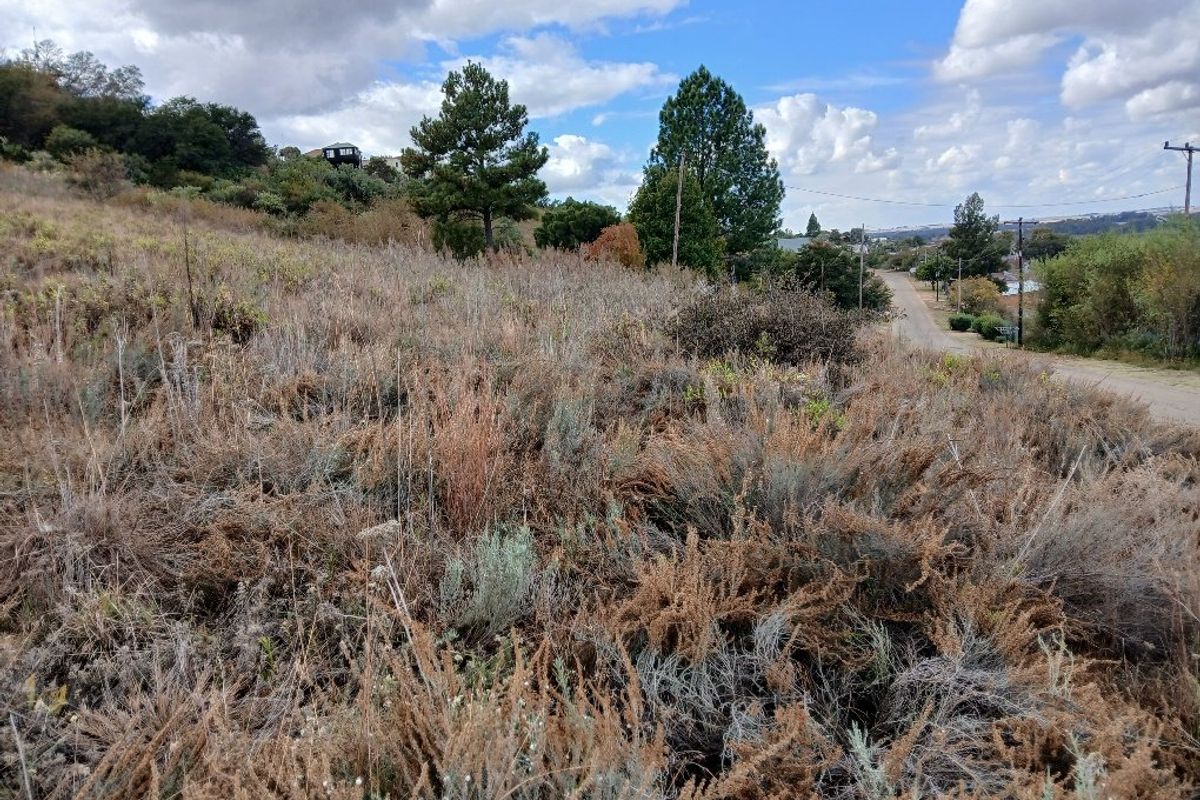 RIVERVIEW & COUNTRY VIEW LAND VAALOEWER - Photo 2