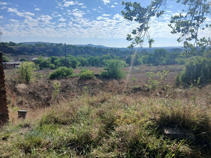 A scenic view overlooking a vacant residential plot with natural vegetation, mature trees, and distant rolling hills under a clear blue sky.