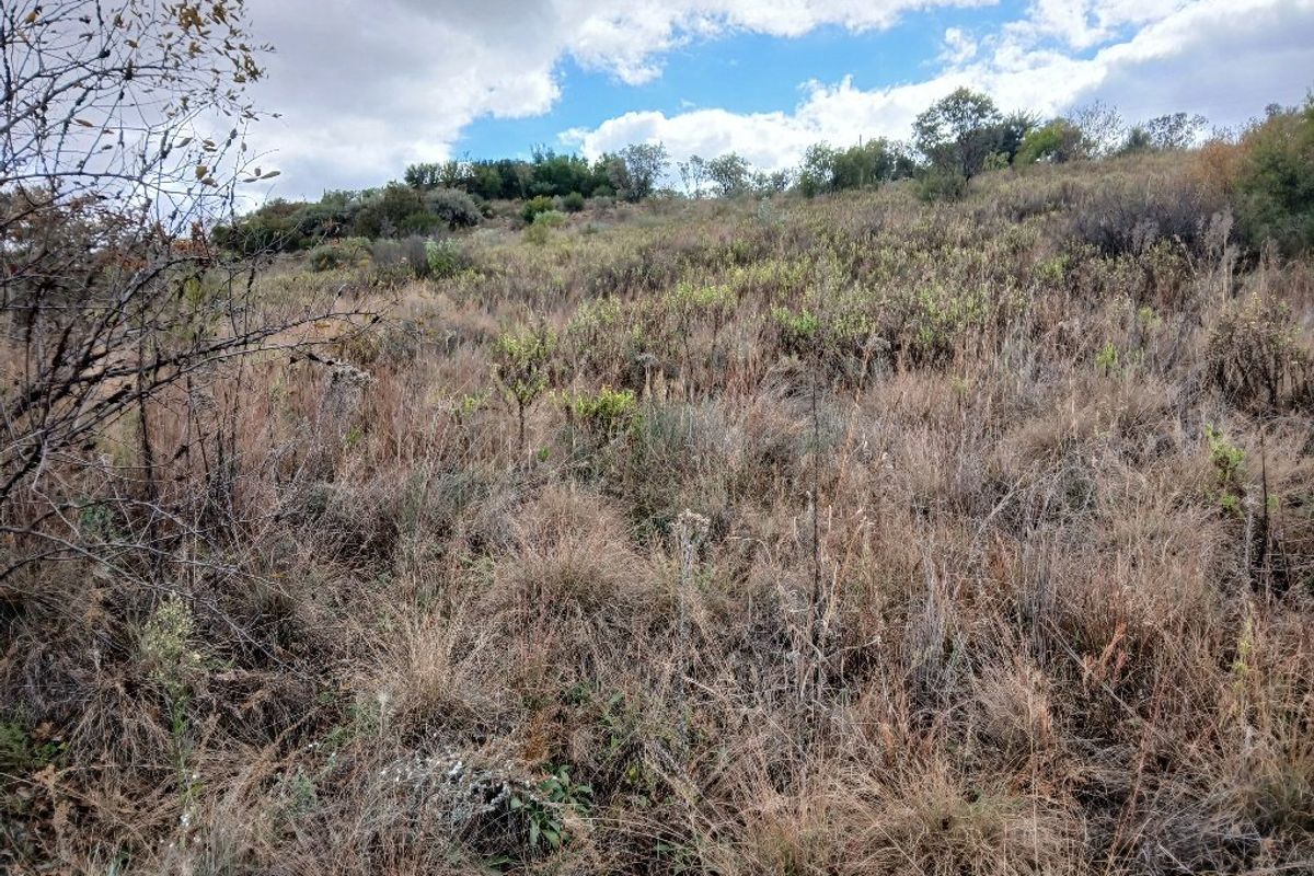 RIVER & COUNTRY VIEW LAND - Photo 5