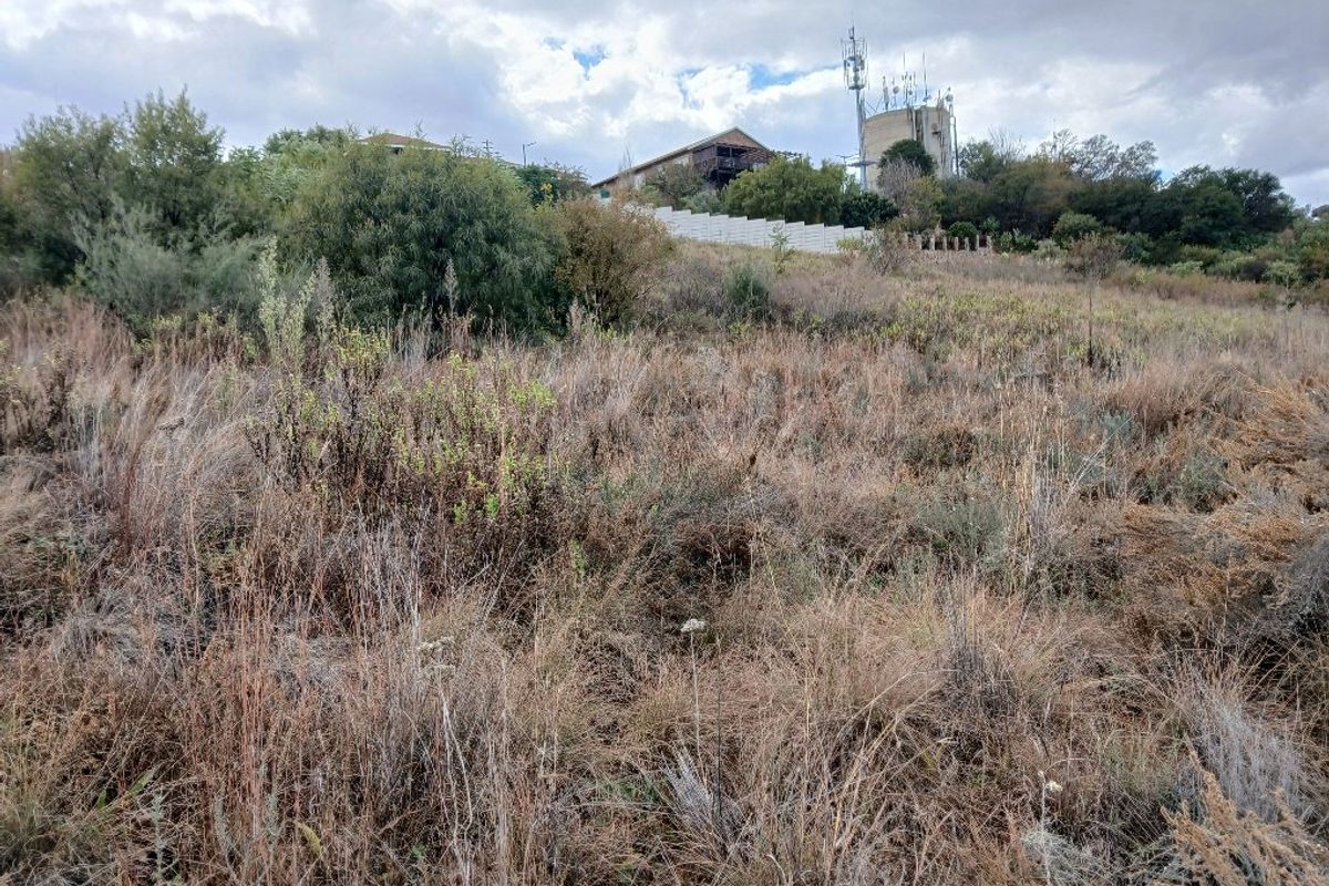A view of the vacant residential land featuring natural vegetation, a boundary wall, and a nearby telecommunications tower.