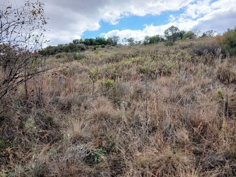 A view of a sloped, undeveloped residential plot featuring natural vegetation and native grasses under a cloudy sky.