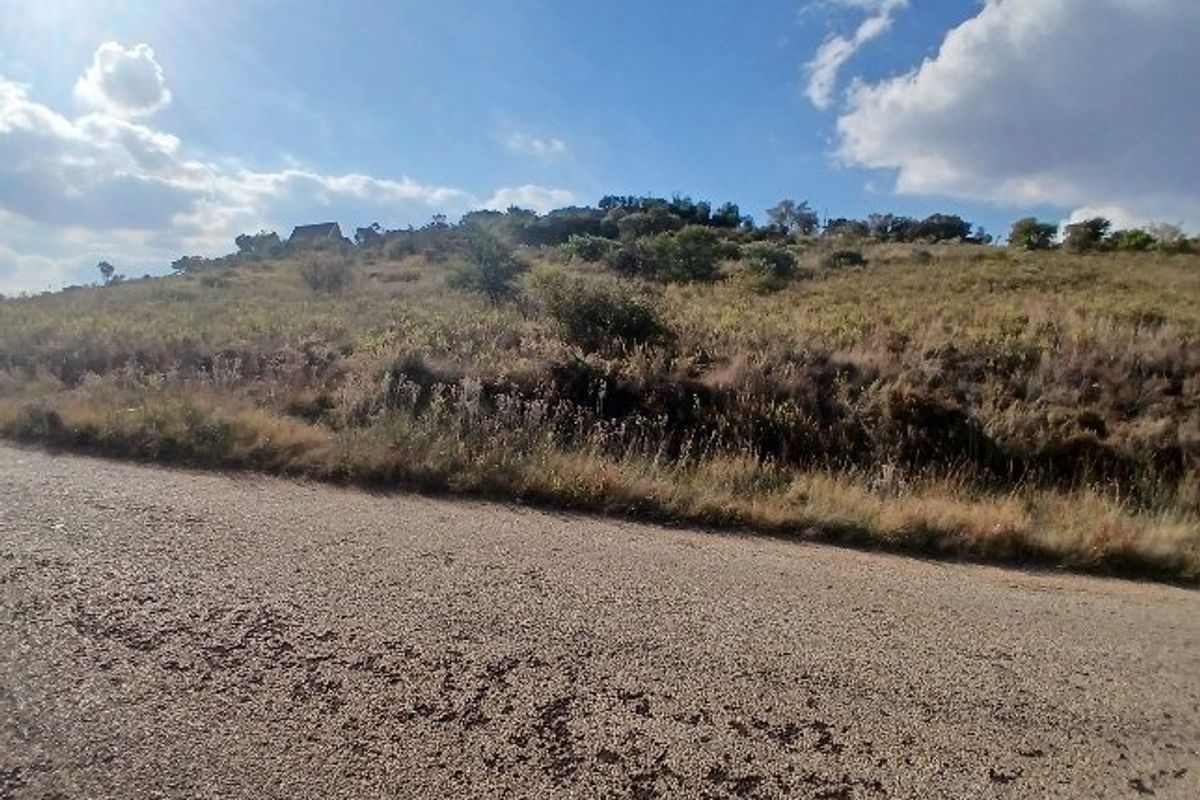 A view of a sloped, undeveloped residential plot from the adjacent gravel road.
