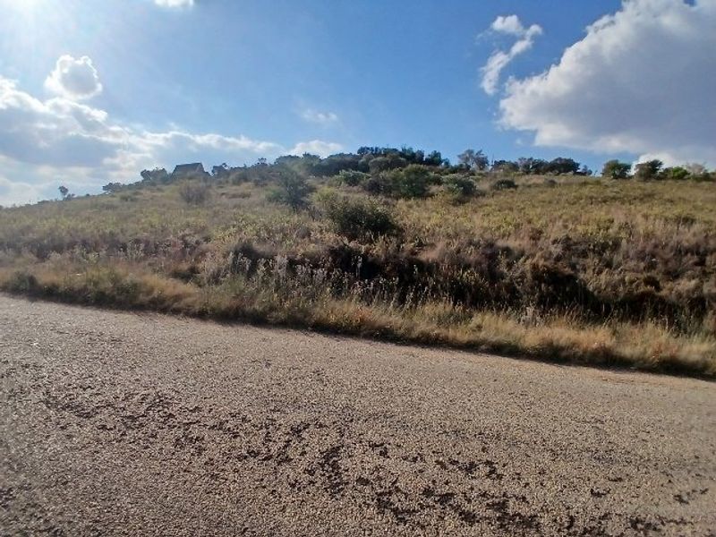 A view of a sloped, undeveloped residential plot from the adjacent gravel road.