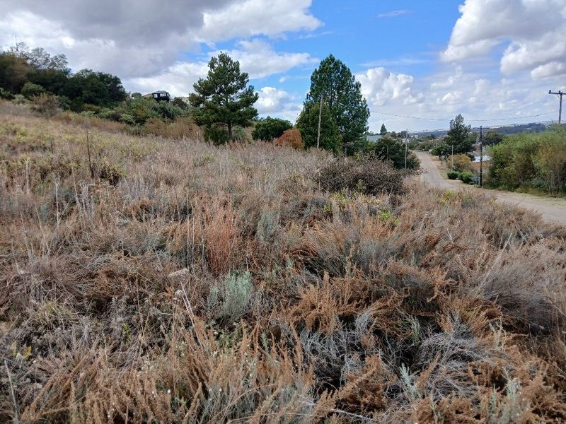 A view of an undeveloped residential plot featuring native vegetation and access to a nearby street.