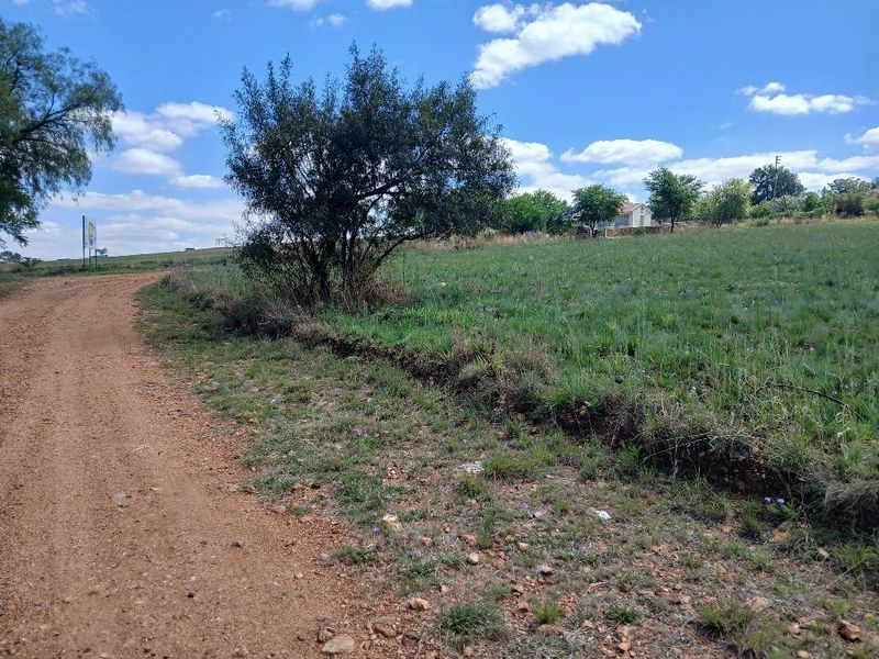 A view of a dirt road bordering a vacant residential plot of land with natural grass and scattered trees.