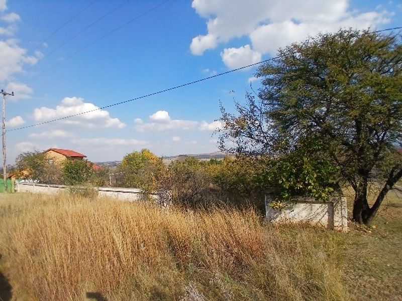 A view of a residential vacant land plot featuring a boundary wall, mature trees, and overhead power lines under a clear sky.