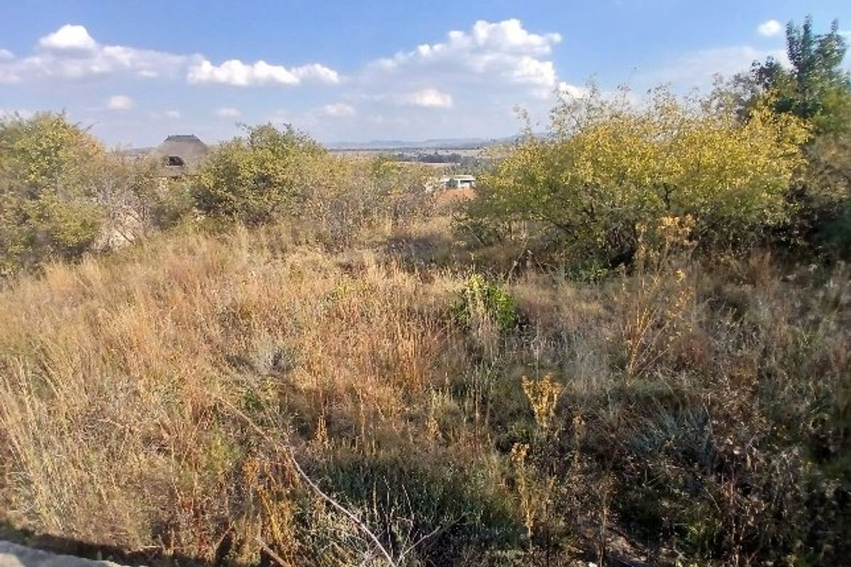 A view of the natural landscape and surrounding vegetation on the vacant residential property.