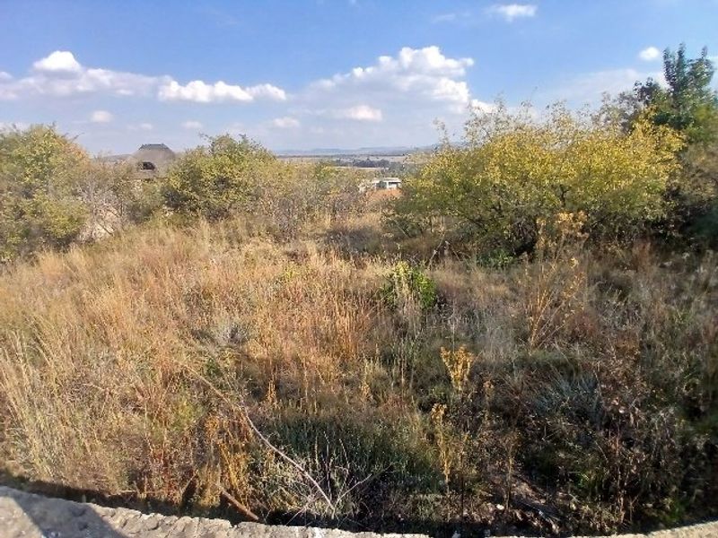 A view of the natural landscape and surrounding vegetation on the vacant residential property.