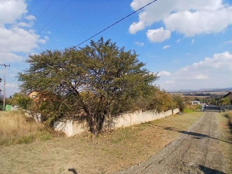 A view of the property frontage featuring a gravel driveway, boundary wall, and mature trees, showing the current state of the vacant residential land.