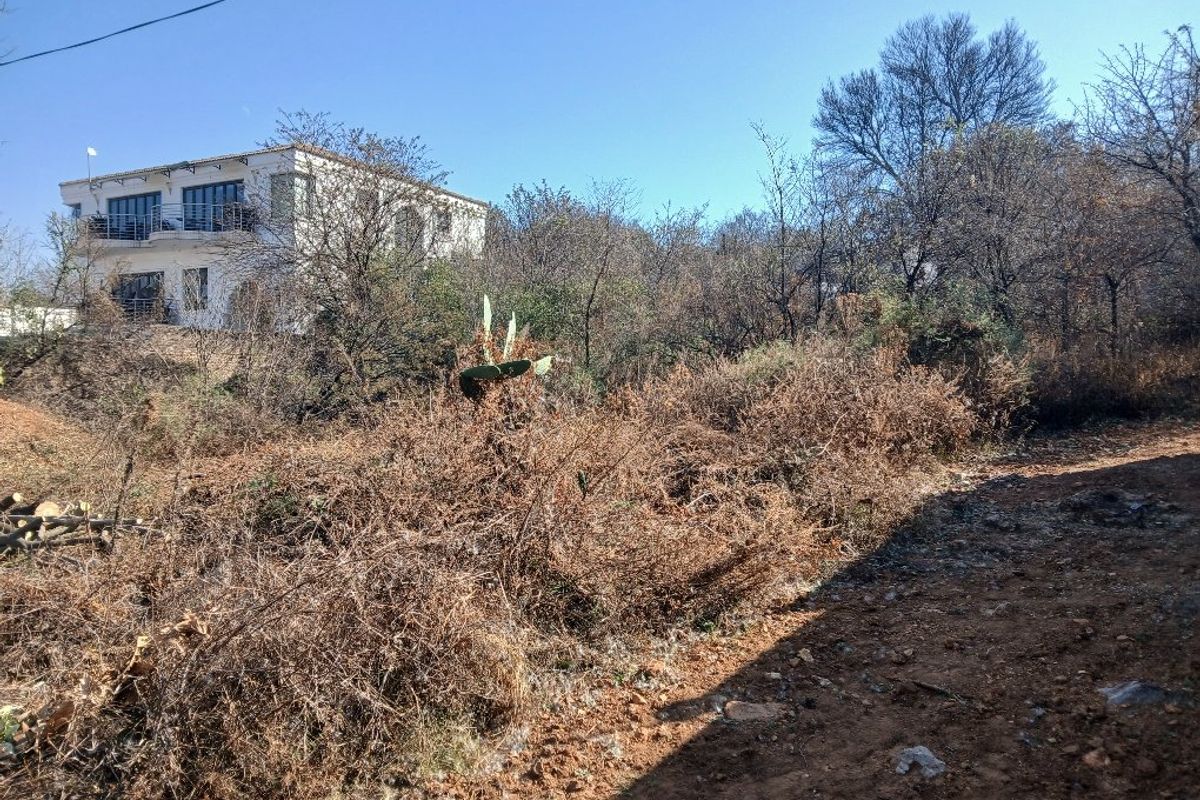 A view of an undeveloped residential plot featuring native brush and dirt access, with a neighboring property visible in the background.
