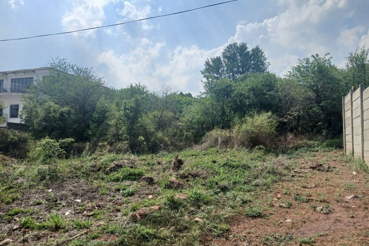 A view of the vacant residential land featuring natural vegetation, mature trees, and a precast concrete boundary wall with electric fencing.