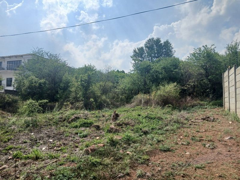 A view of the vacant residential land featuring natural vegetation, mature trees, and a precast concrete boundary wall with electric fencing.