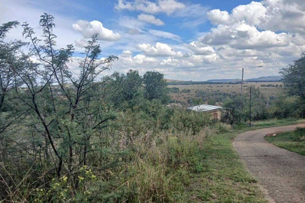 VAALOEWER VACANT LAND CLOSE TO RIVER - Photo 3