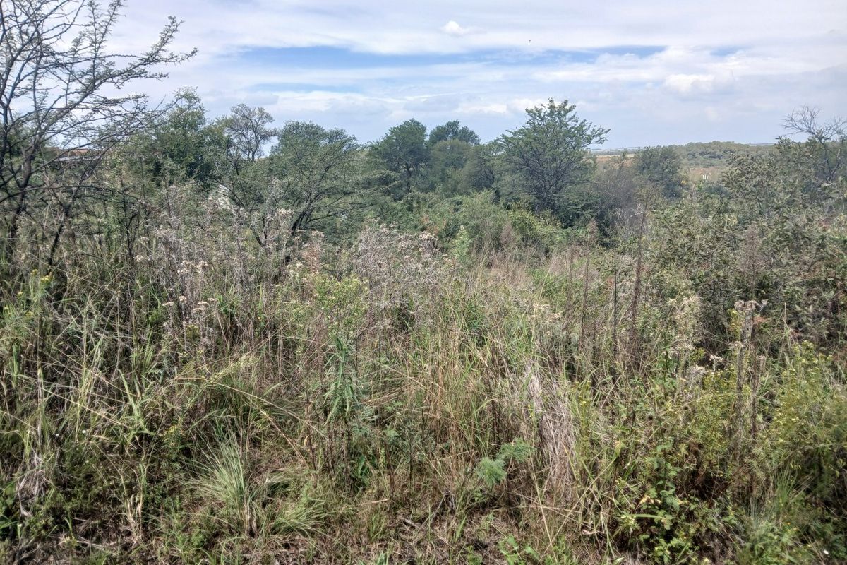VAALOEWER VACANT LAND CLOSE TO RIVER - Photo 2