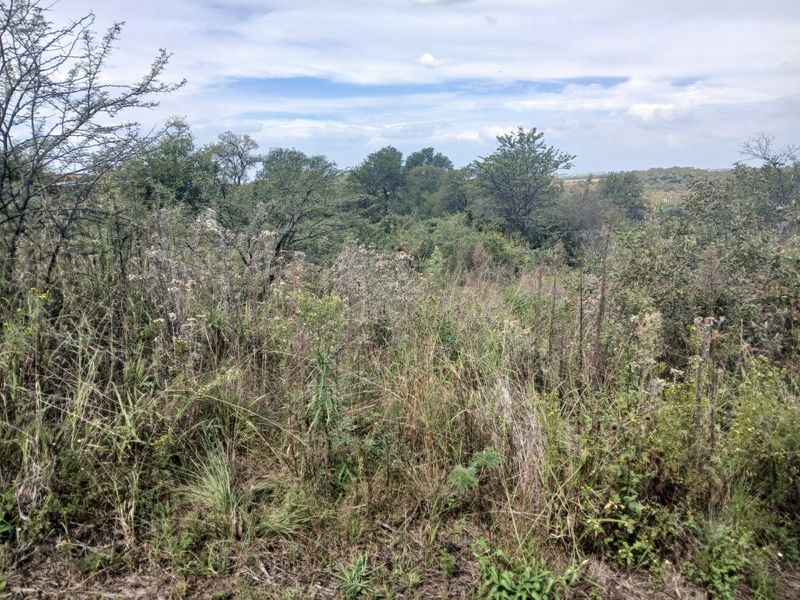 VAALOEWER VACANT LAND CLOSE TO RIVER - Photo 2