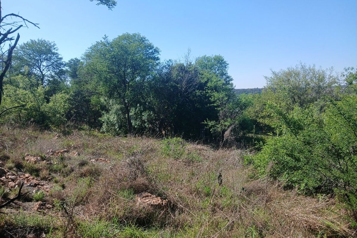 A view of a vacant residential plot featuring natural vegetation and mature trees, offering a peaceful and private setting.