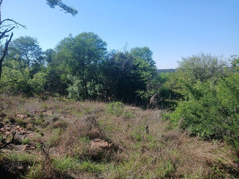 A view of a vacant residential plot featuring natural vegetation and mature trees, offering a peaceful and private setting.