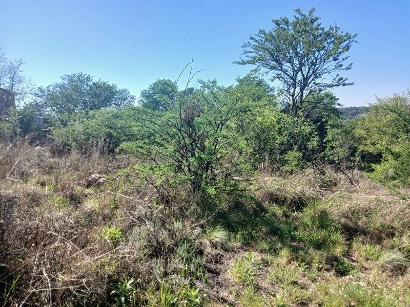 A view of the natural, undeveloped residential land featuring established trees and native vegetation.