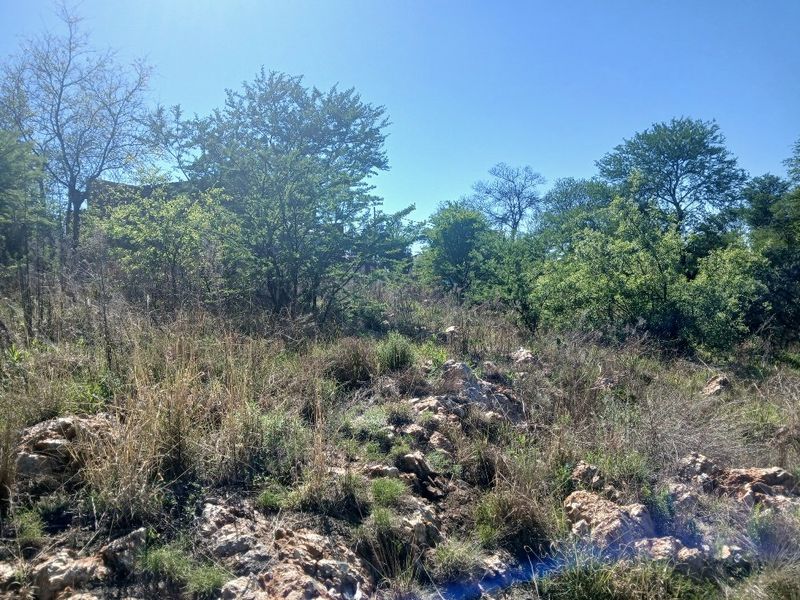 A view of a natural, undeveloped residential plot featuring indigenous trees and rocky terrain.