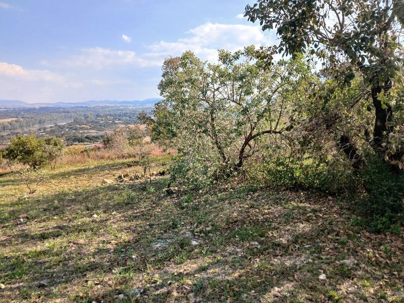 LARGE PRIME SCENIC VIEW STAND VAALOEWER!! - Photo 5