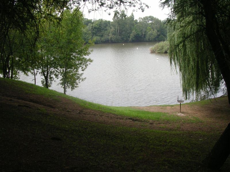 FRONT ROW STAND WALKING ACCESS TO RIVER - Photo 9