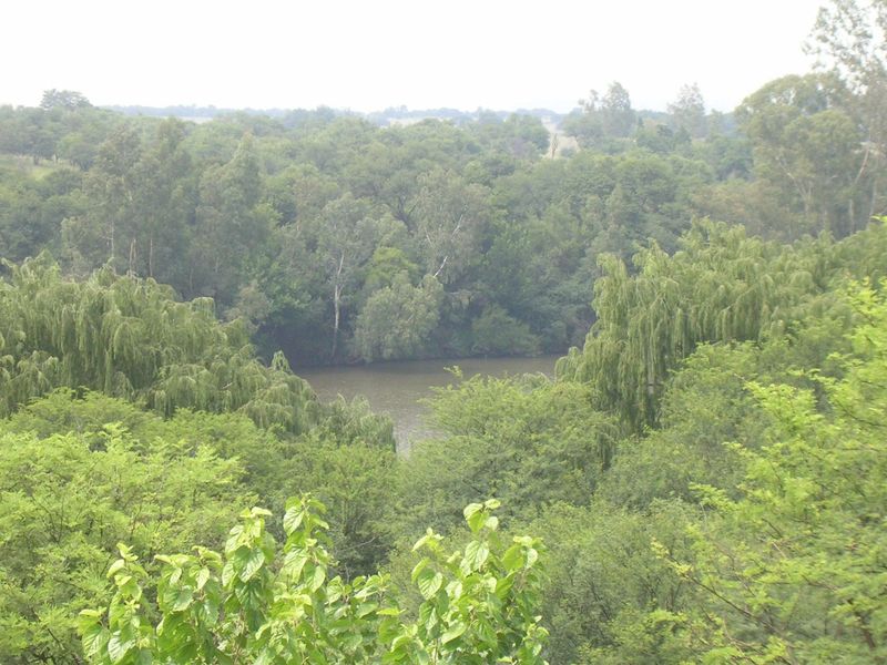 FRONT ROW STAND WALKING ACCESS TO RIVER - Photo 8