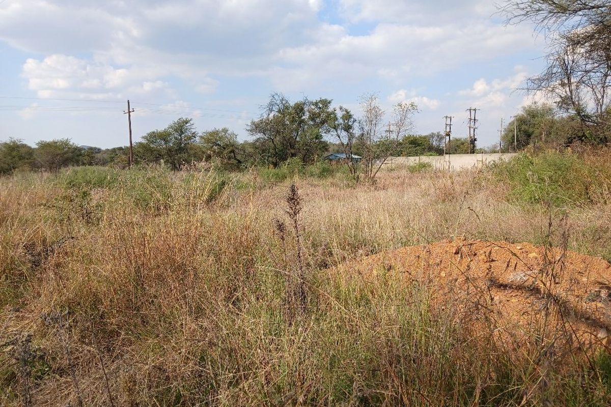 LEVEL VACANT LAND READY TO DEVELOP - Photo 3