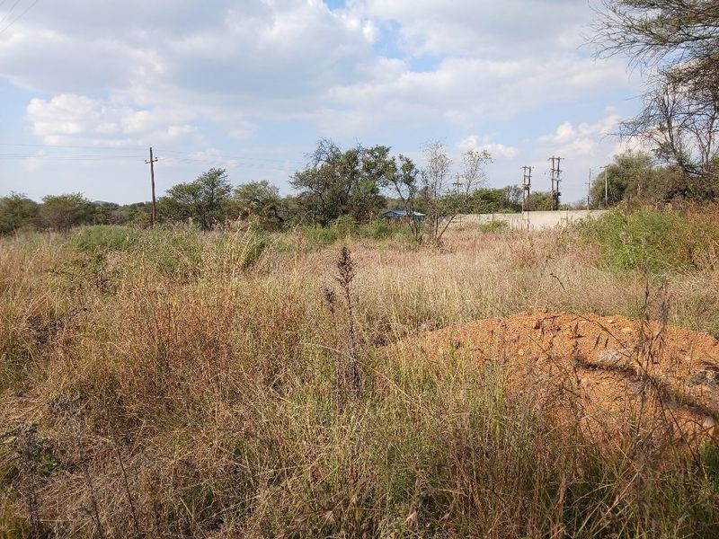 LEVEL VACANT LAND READY TO DEVELOP - Photo 3